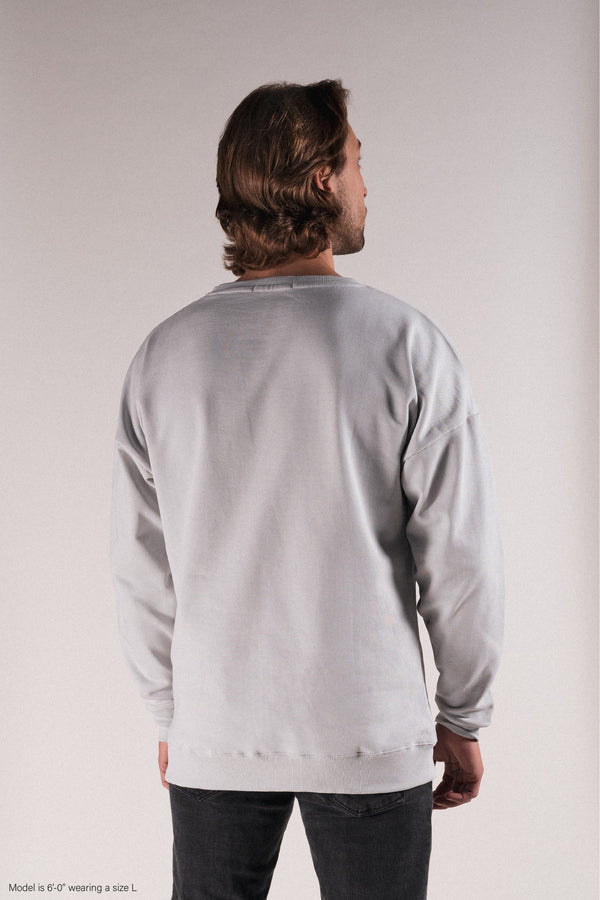 Crewneck - Grey (back view) Title MTB